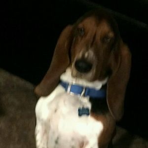 Meet your Posher, Robert